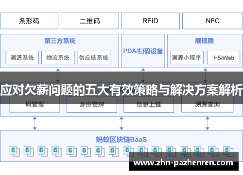 应对欠薪问题的五大有效策略与解决方案解析