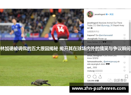 林加德被调侃的五大原因揭秘 揭开其在球场内外的搞笑与争议瞬间 林加德被调侃的五大原因揭秘 揭开其在球场内外的搞笑与争议瞬间