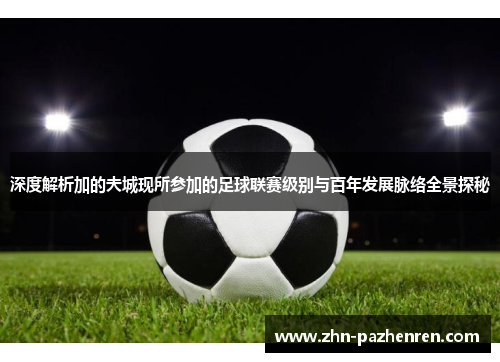 深度解析加的夫城现所参加的足球联赛级别与百年发展脉络全景探秘 深度解析加的夫城现所参加的足球联赛级别与百年发展脉络全景探秘